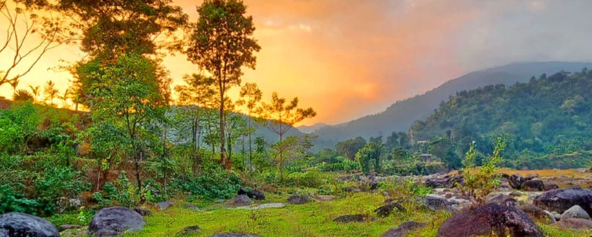 gorumara evening view