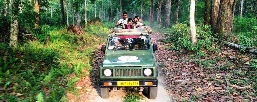 gorumara safari jeep